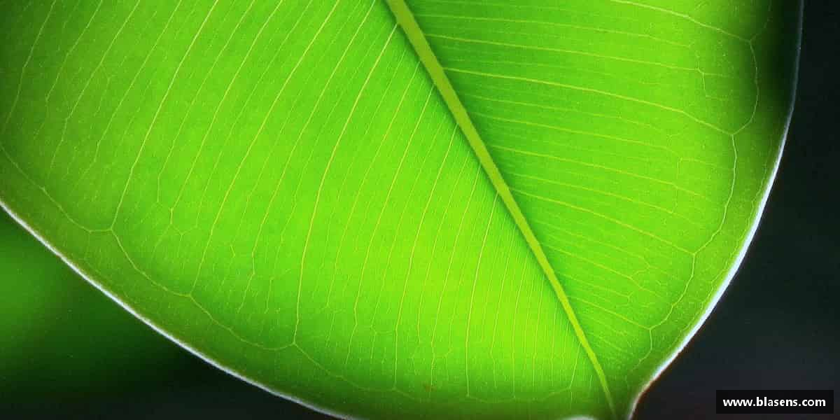 知道一竞技官网